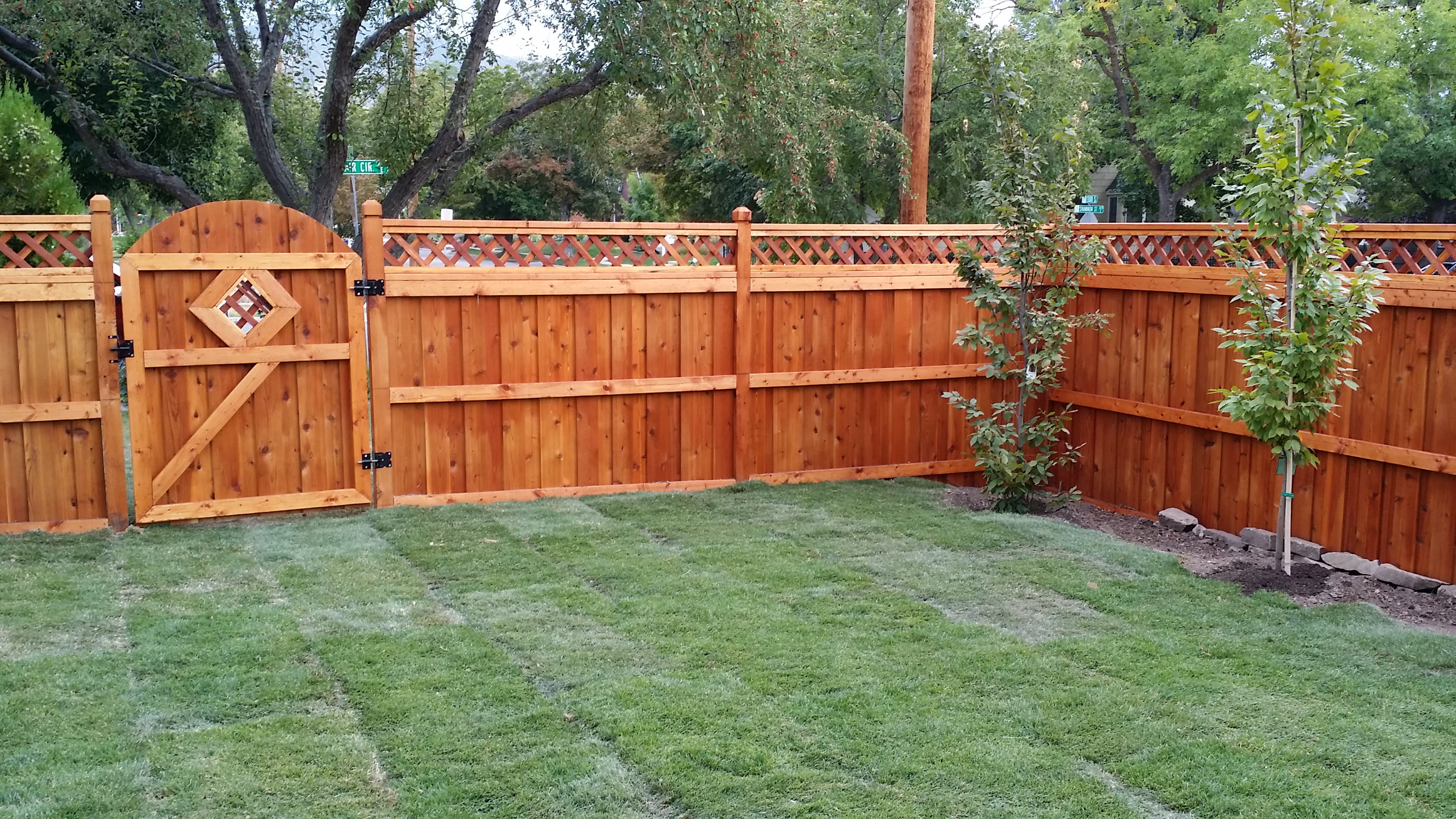 Cedar Lattice Fence With New Sod and Trees