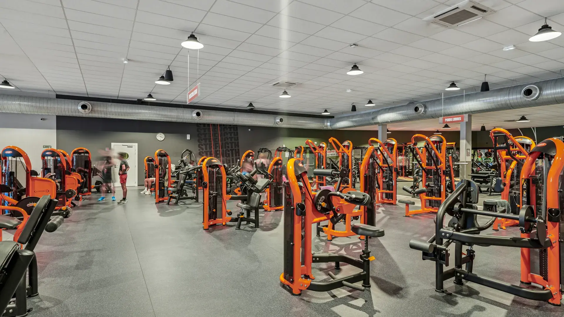 Miniature de la galerie