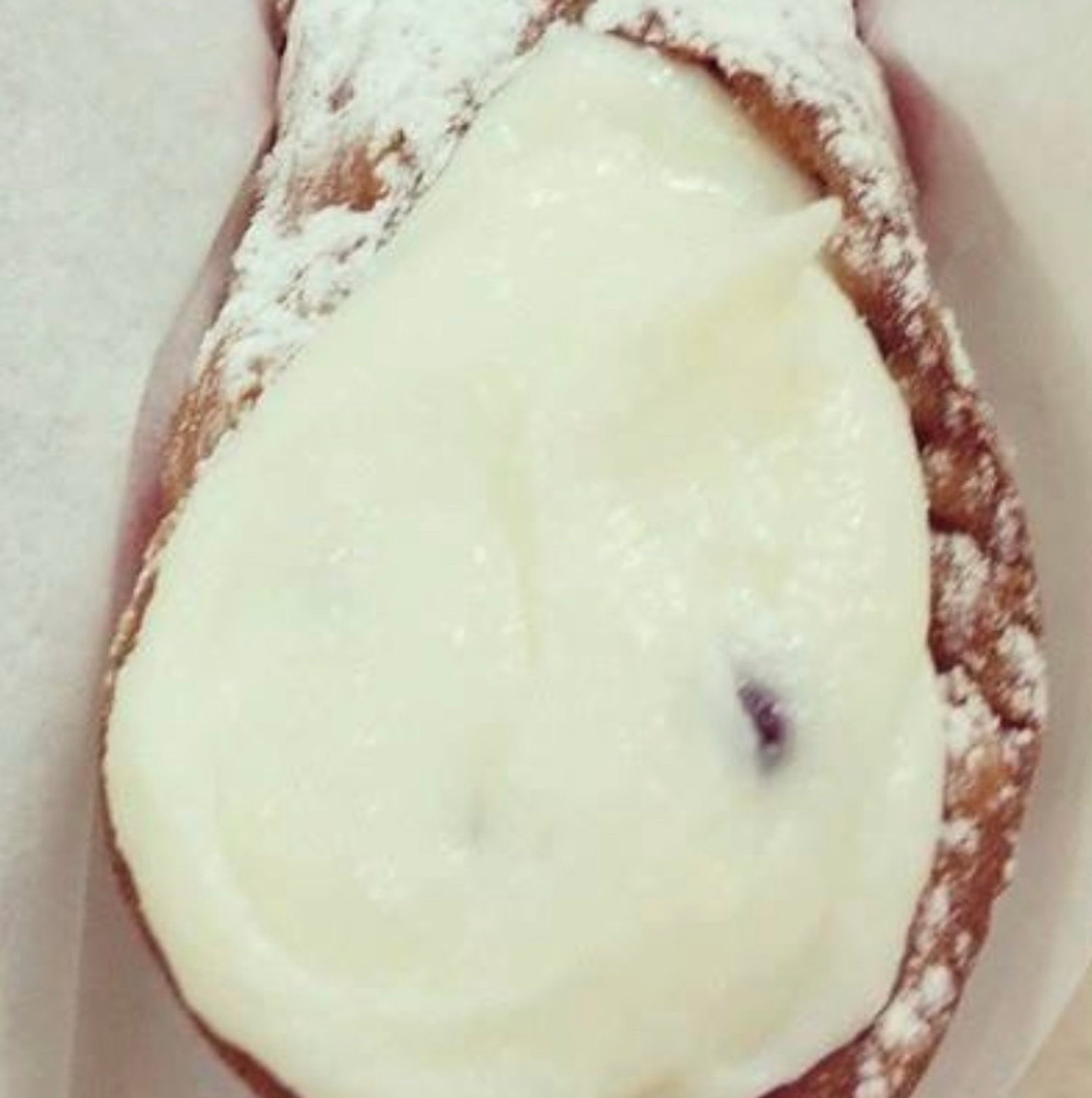Authentic Sicilian Cannoli