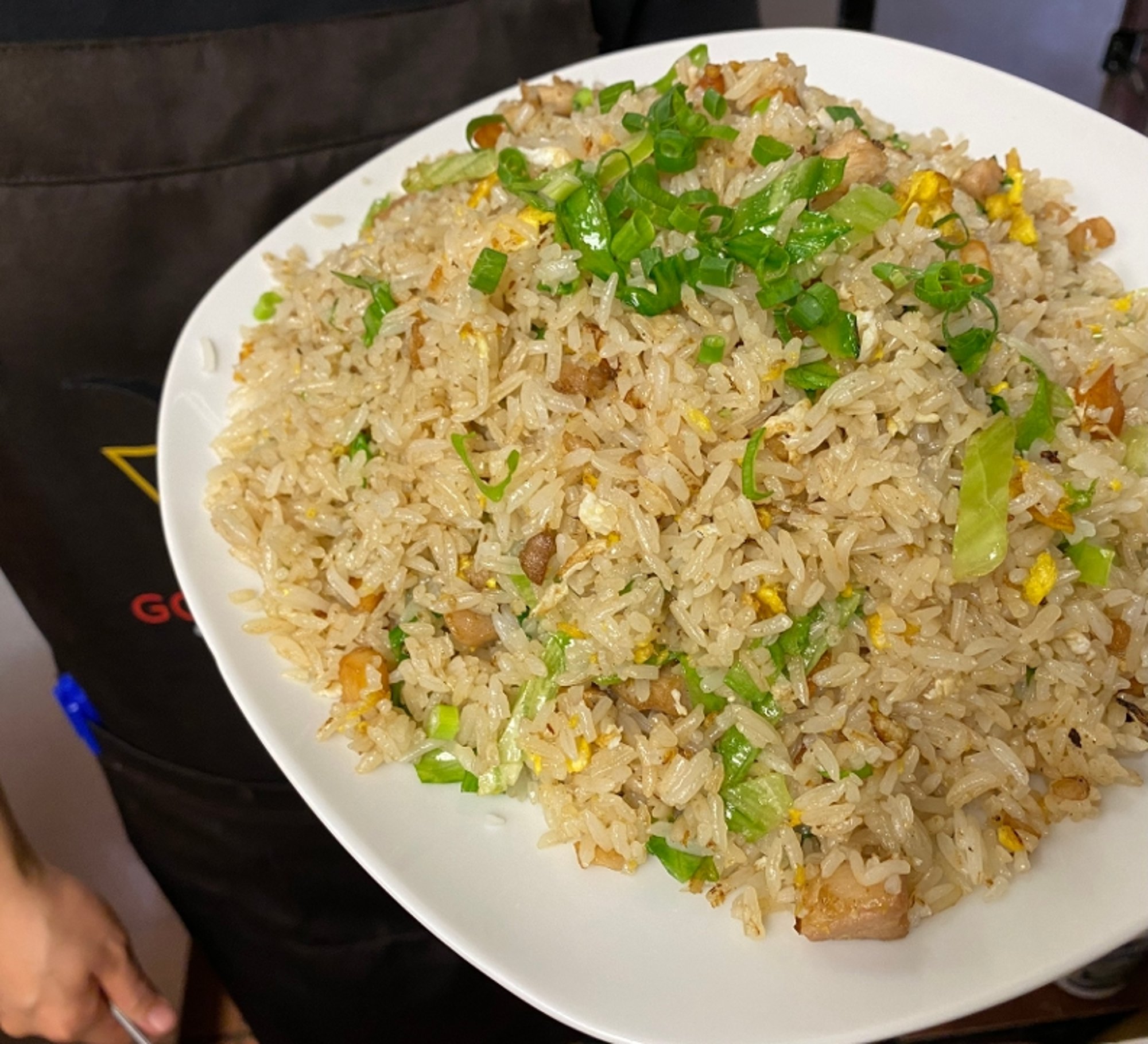 咸魚鸡粒炒饭 196.Salted Fish/Chicken Fried Rice