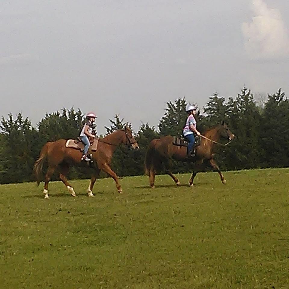 Three Oaks Equestrian Center