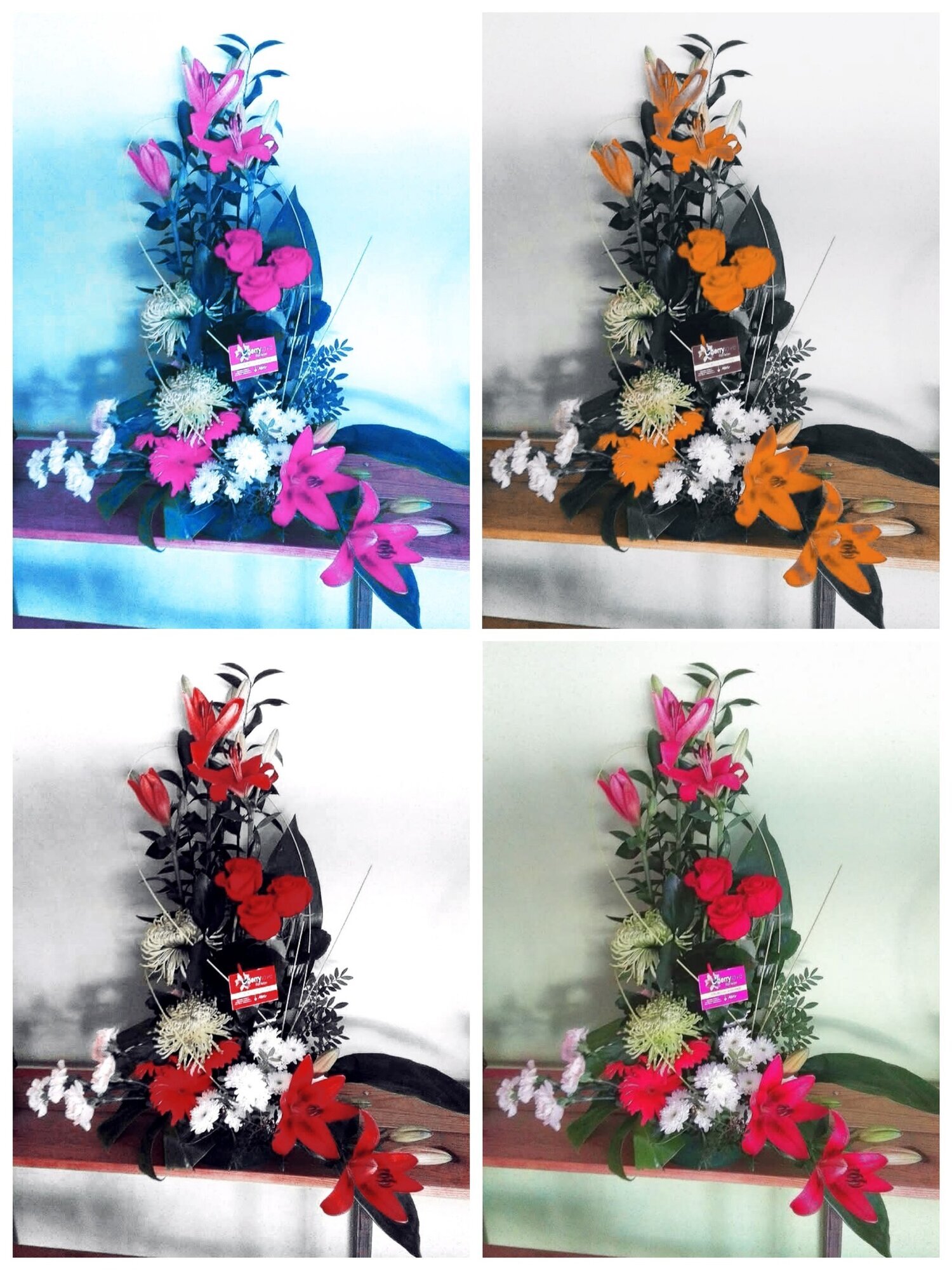 Galería en miniatura