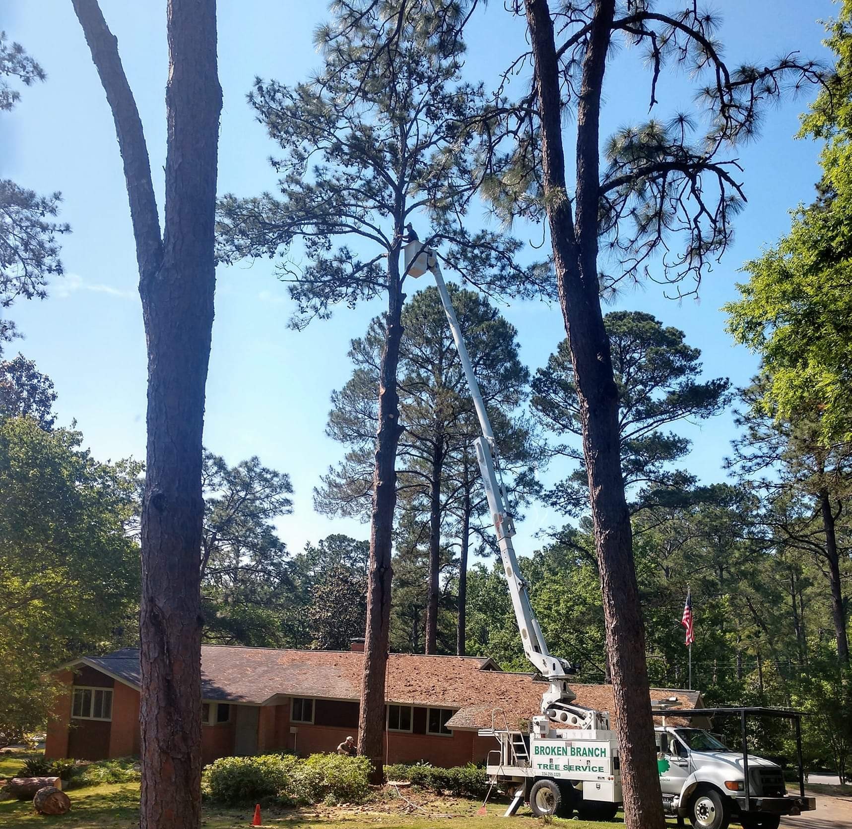 Broken Branch Tree Service LLC Image