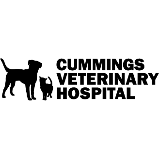 Cummings Veterinary Hospital, LLC