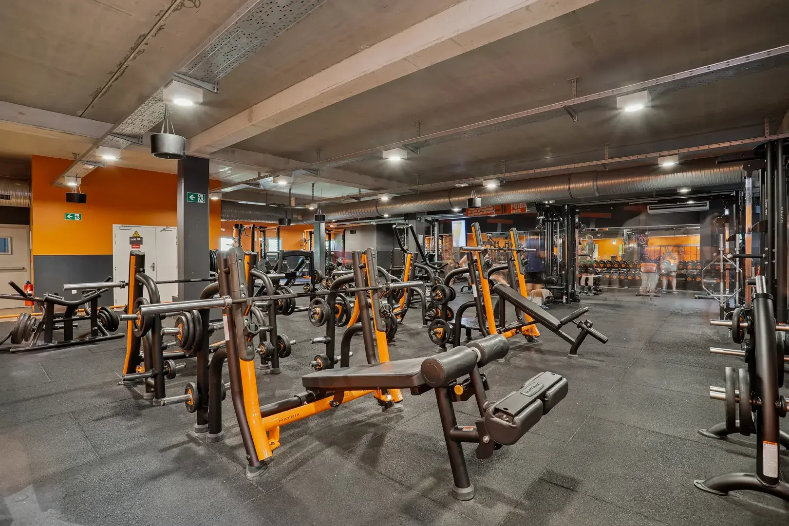 Miniature de la galerie