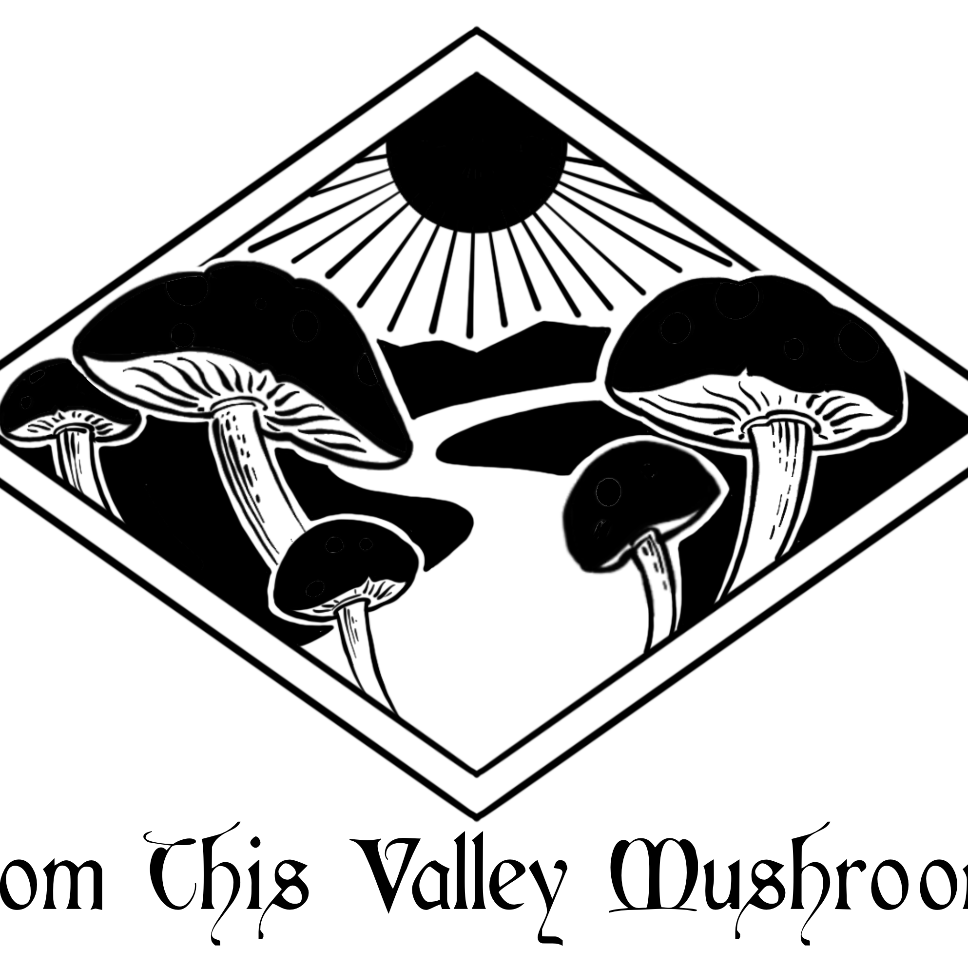 From This Valley Mushrooms