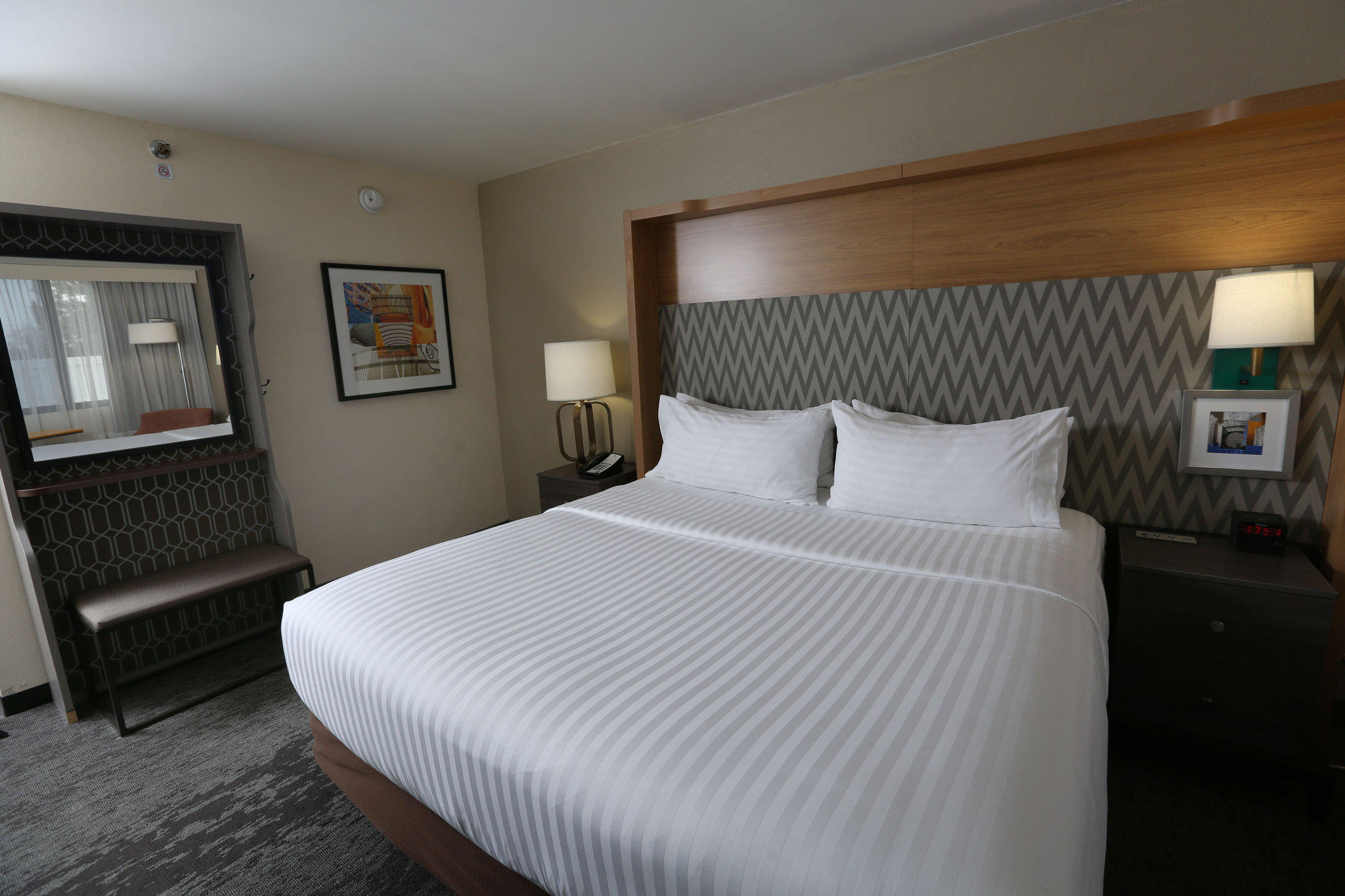 Holiday Inn & Suites Chicago North Shore (Skokie) Photo