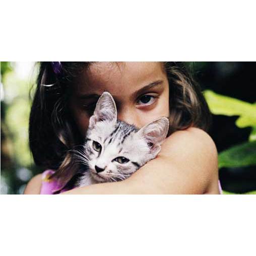 Camino Animal Clinic