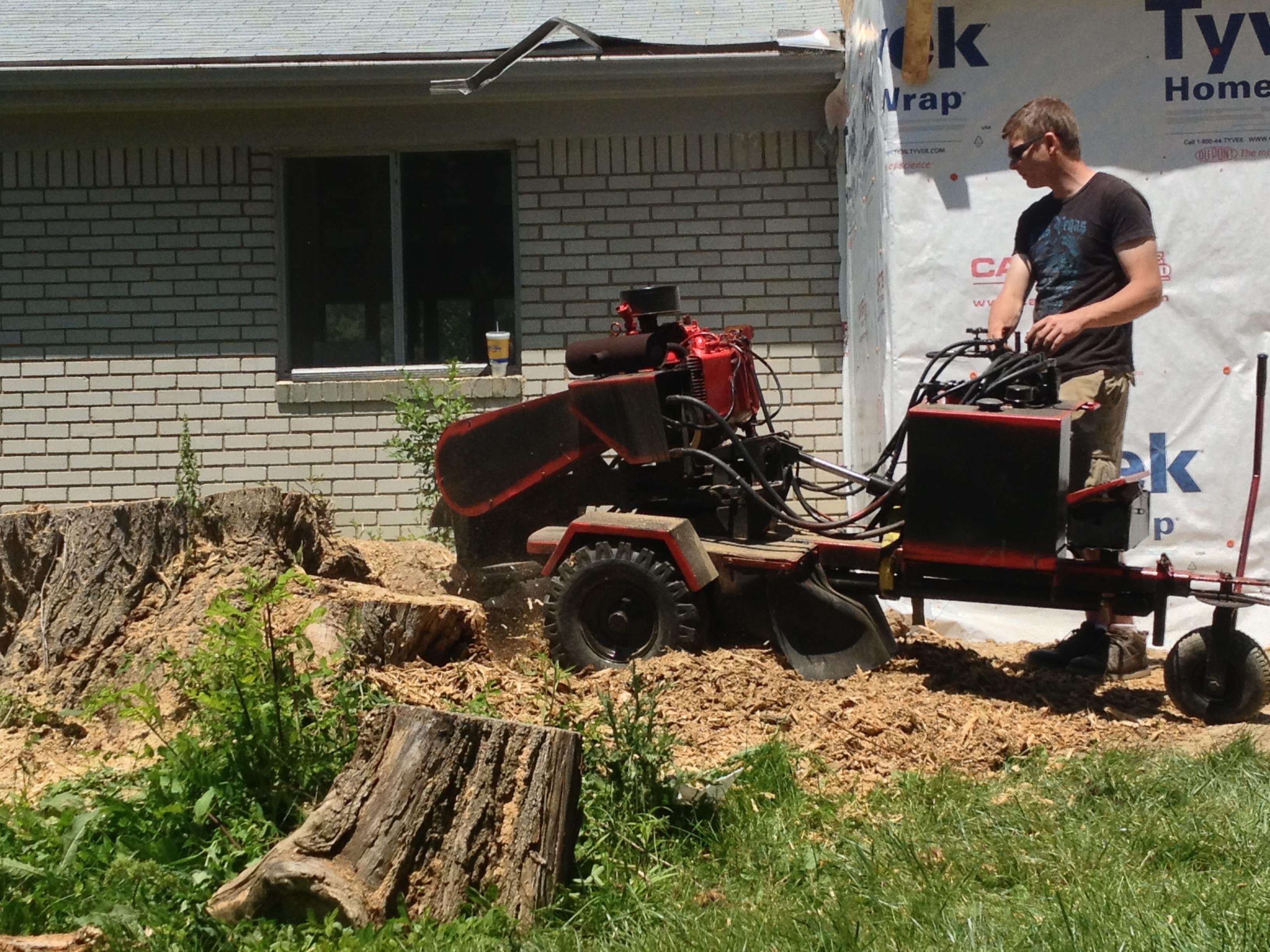 Good Times Tree Service Logo
