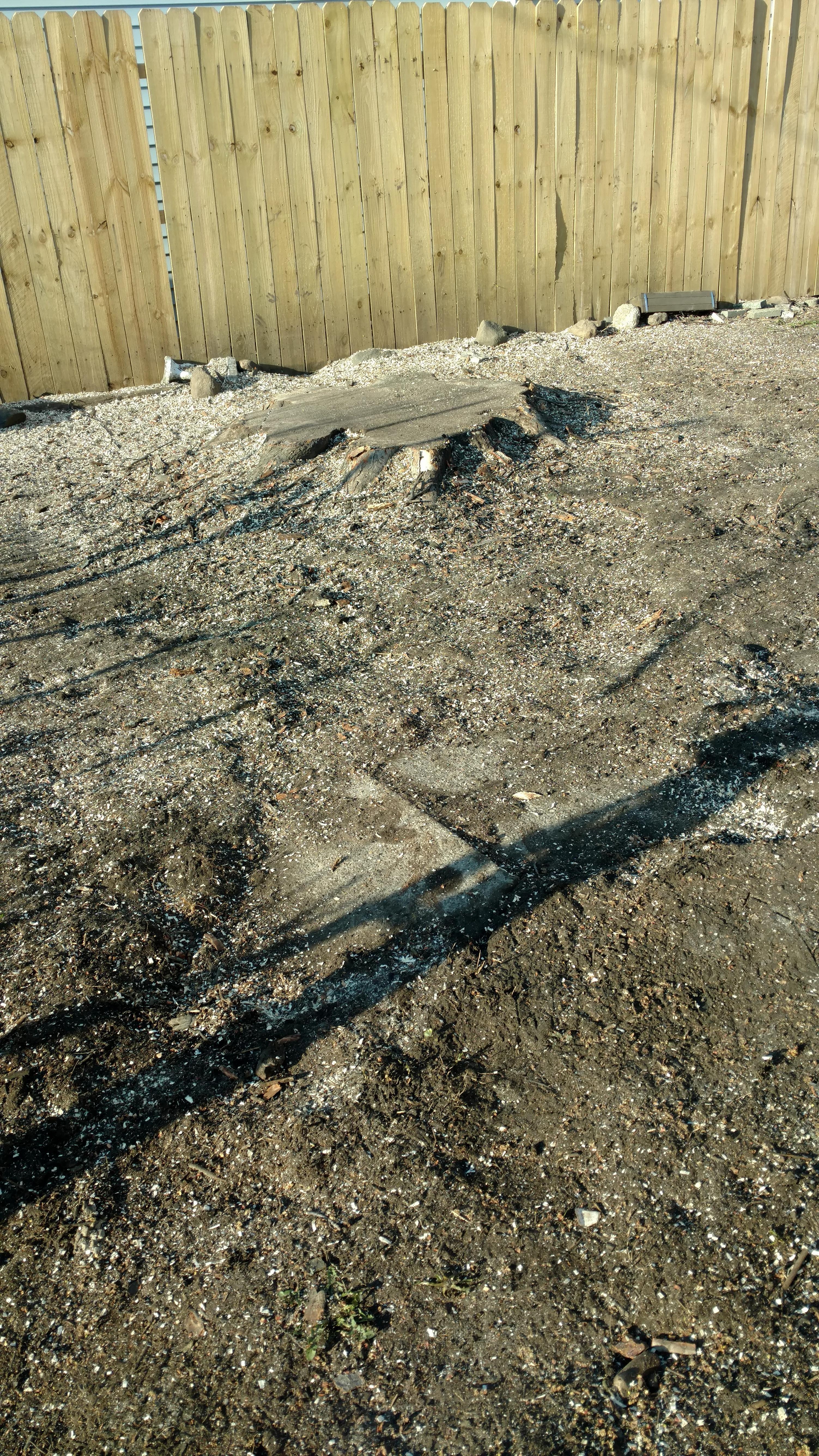 New Beginning Tree Service Company Image