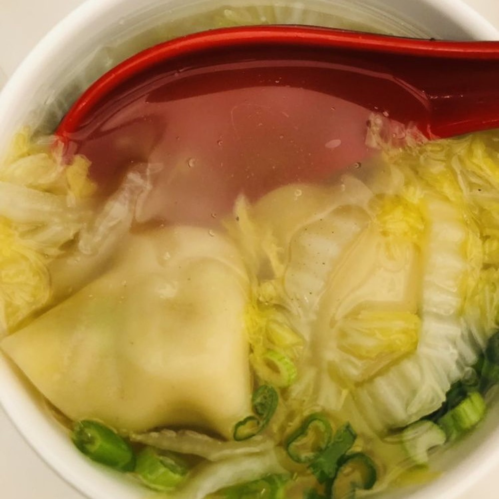 鲜肉云吞汤 Pork Wonton Soup