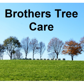 Brothers Tree Care Logo