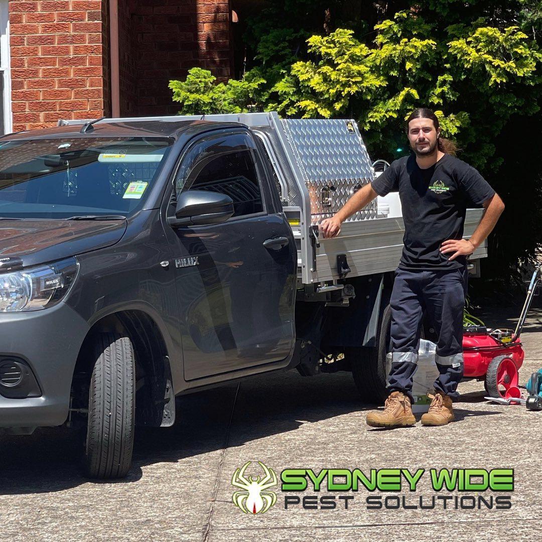 Sydney Wide Pest Solutions