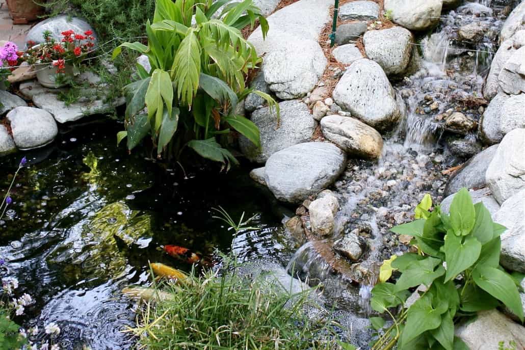 Koi Ponds