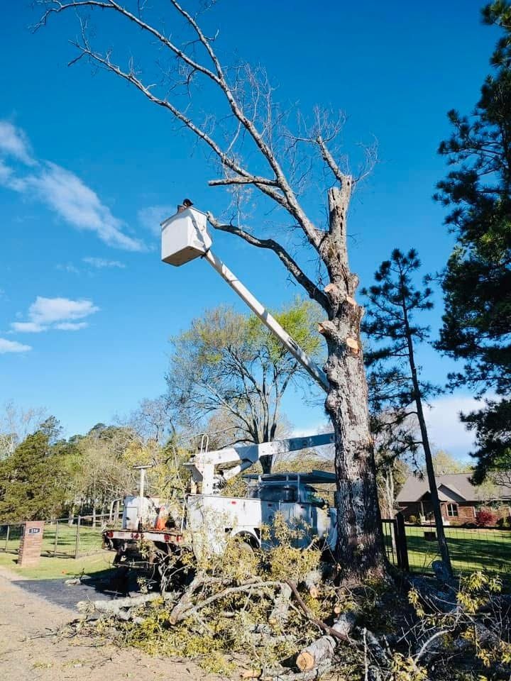 Plyler's Tree Service Image