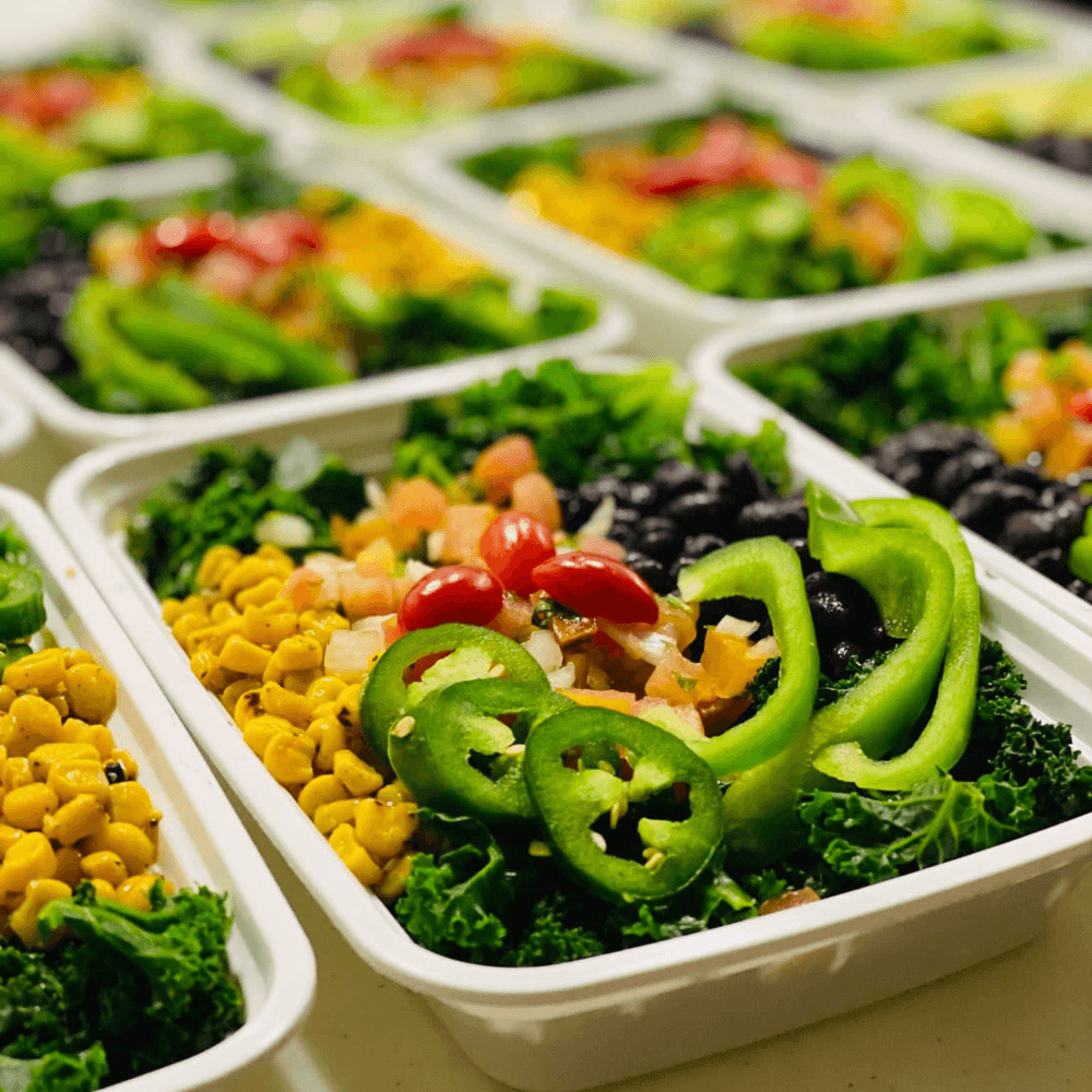 21 Day Meal Plan / 3 Meals a Day (63 Meals)