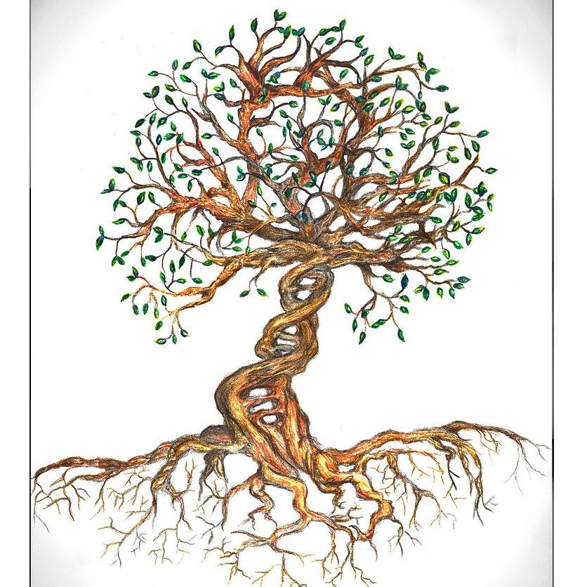 Platinum Quality Tree Experts