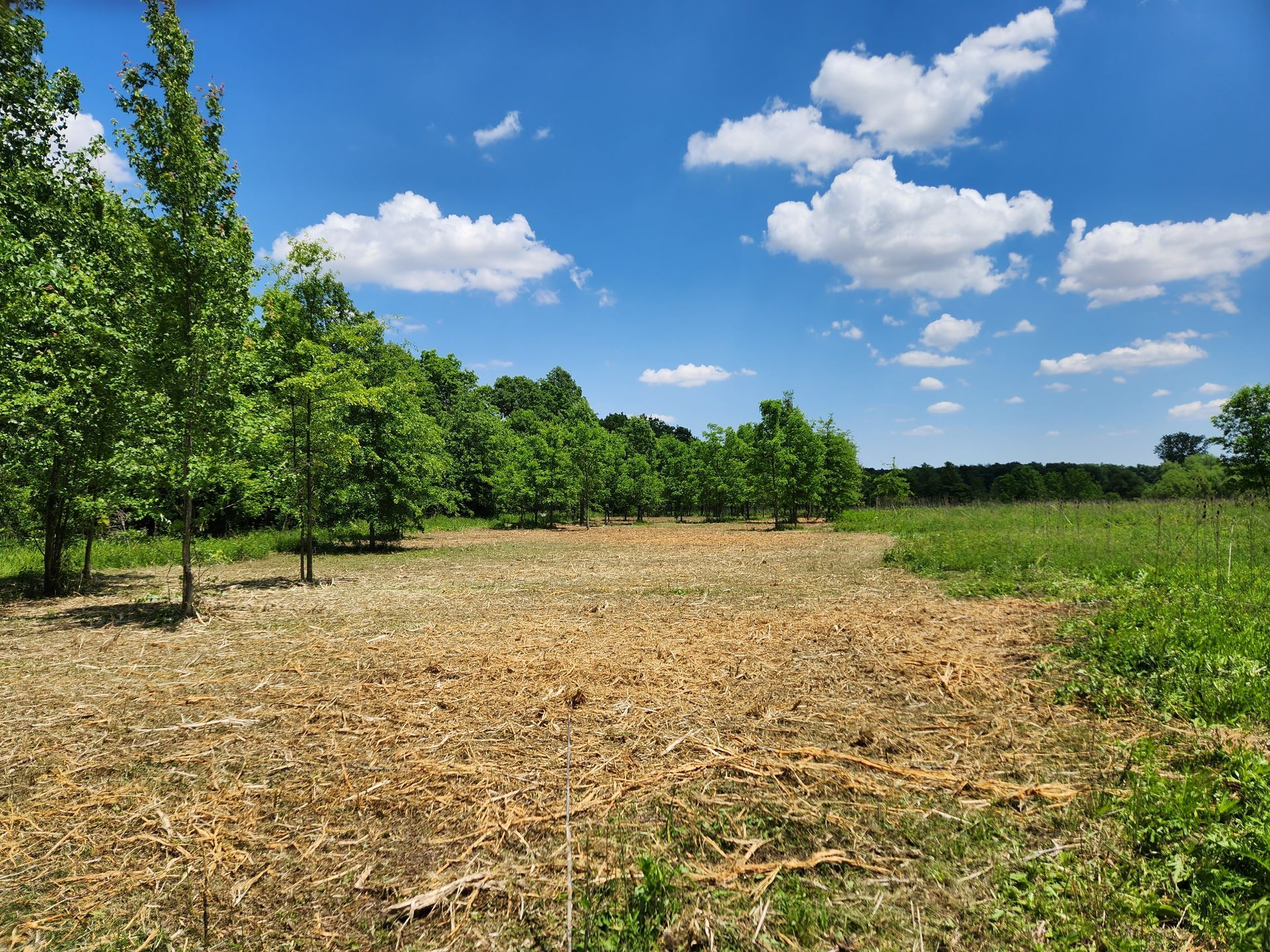 Fearnow Enterprize Inc Image