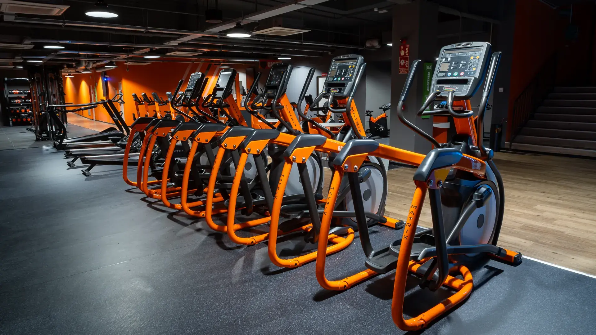 Galería en miniatura