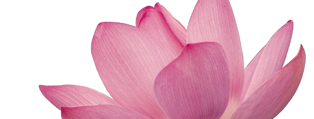 Images Dr Fu Acupuncture and Herb