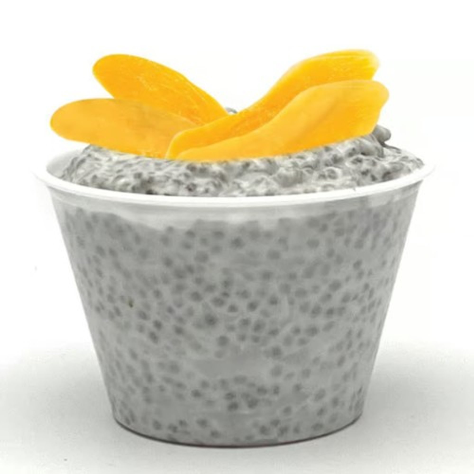 Chia Seed Pudding w/Mango