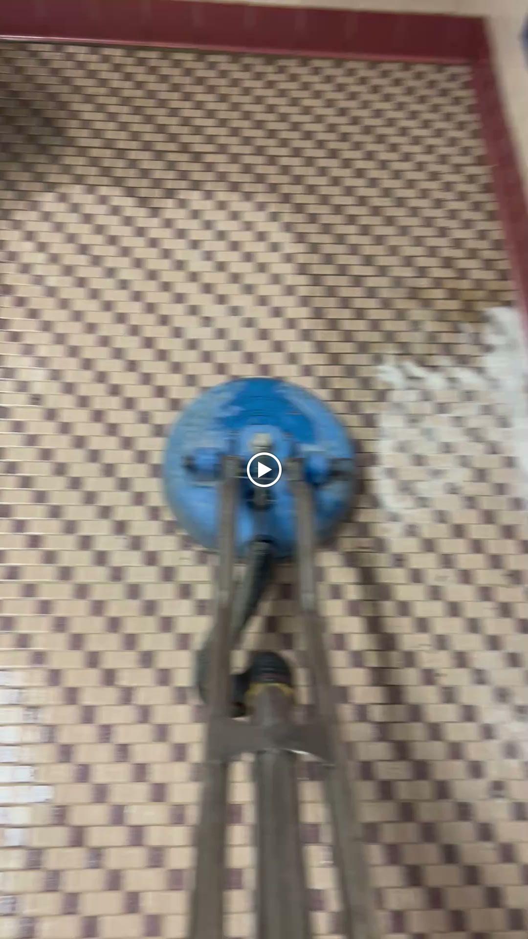 Elite Carpet Tile and Grout Cleaning