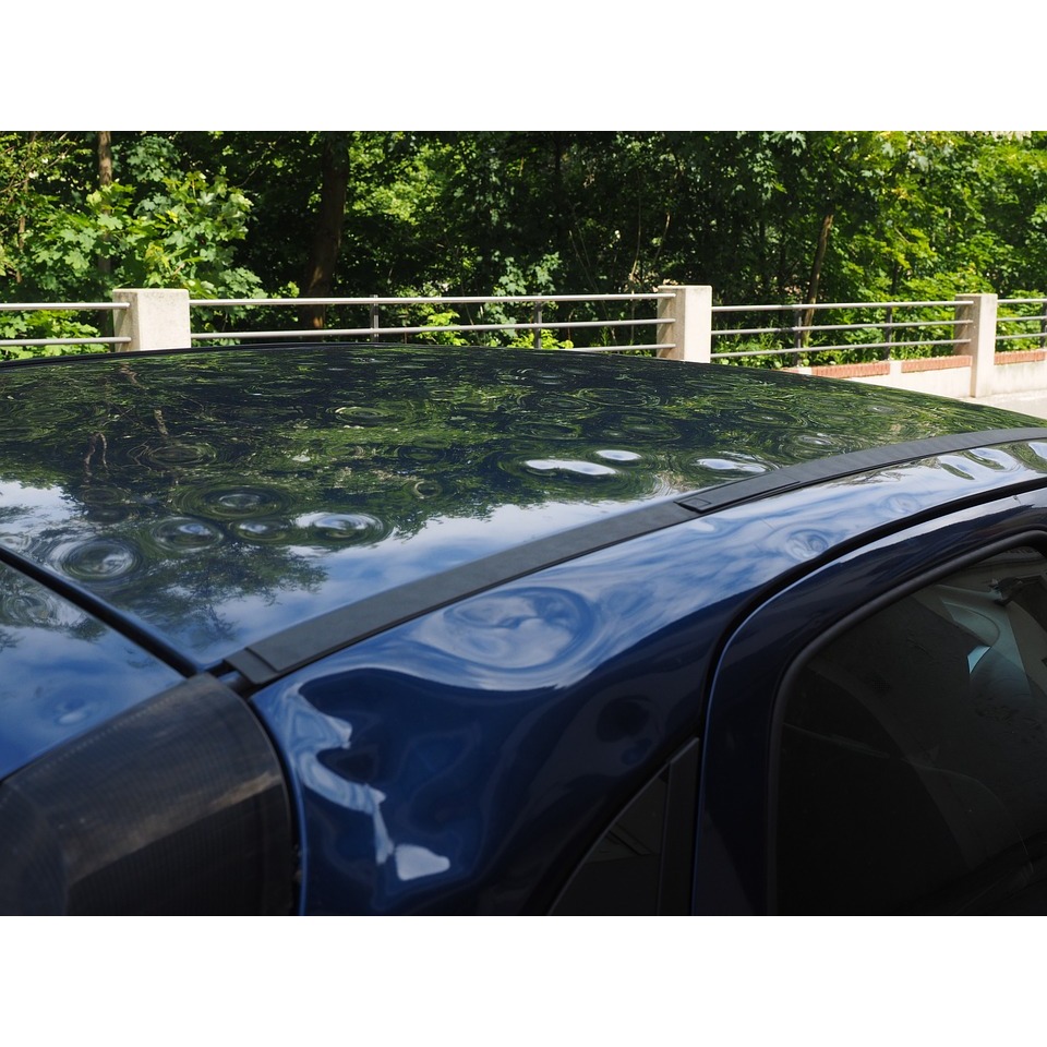 Palmetto Dent Repair Logo