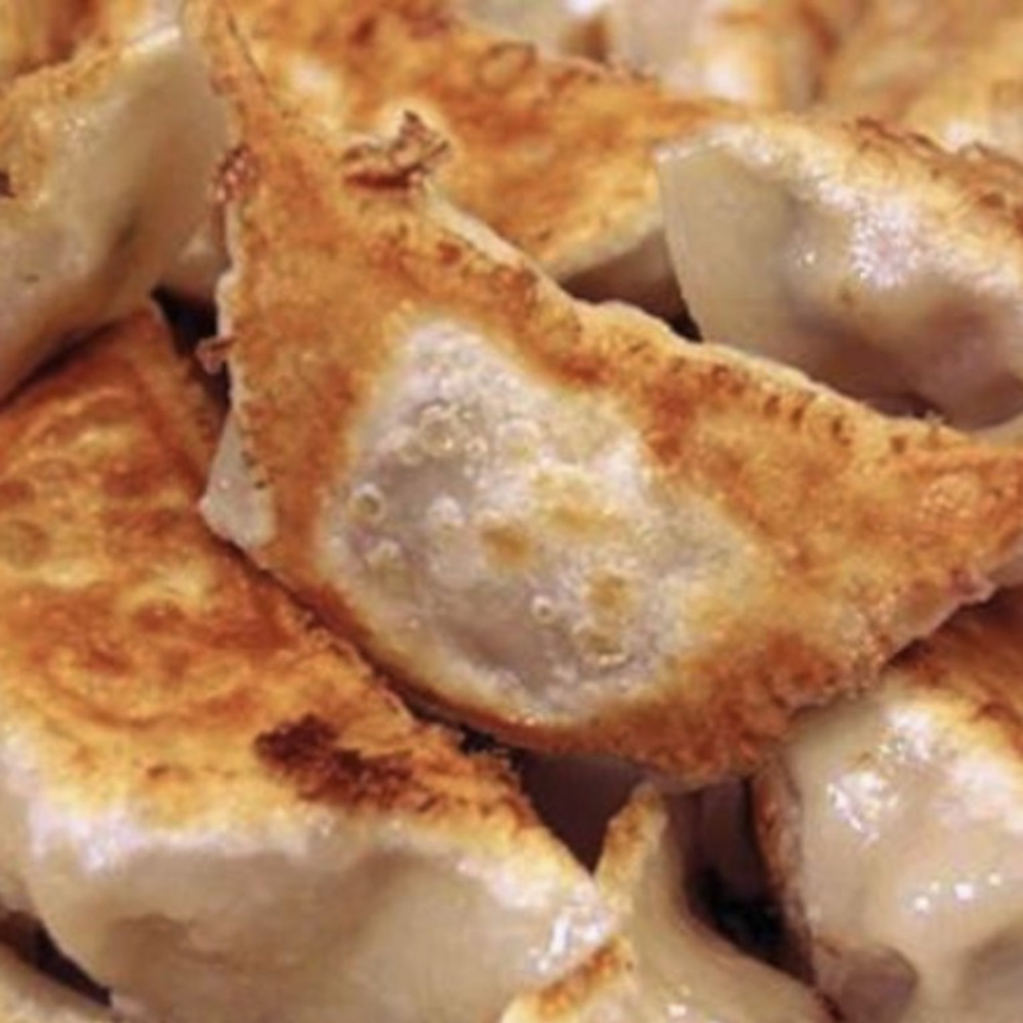 Fried Dumplings