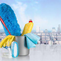 Vanny's Services, LLC Logo