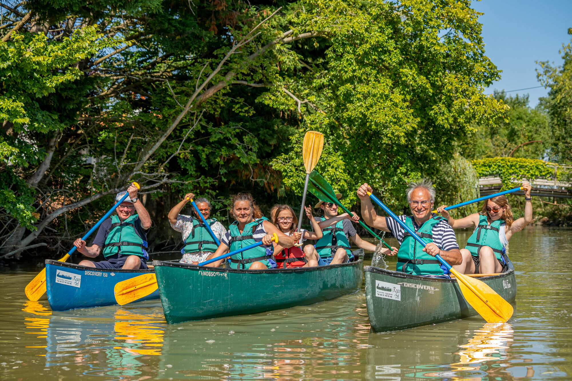 Miniature de la galerie