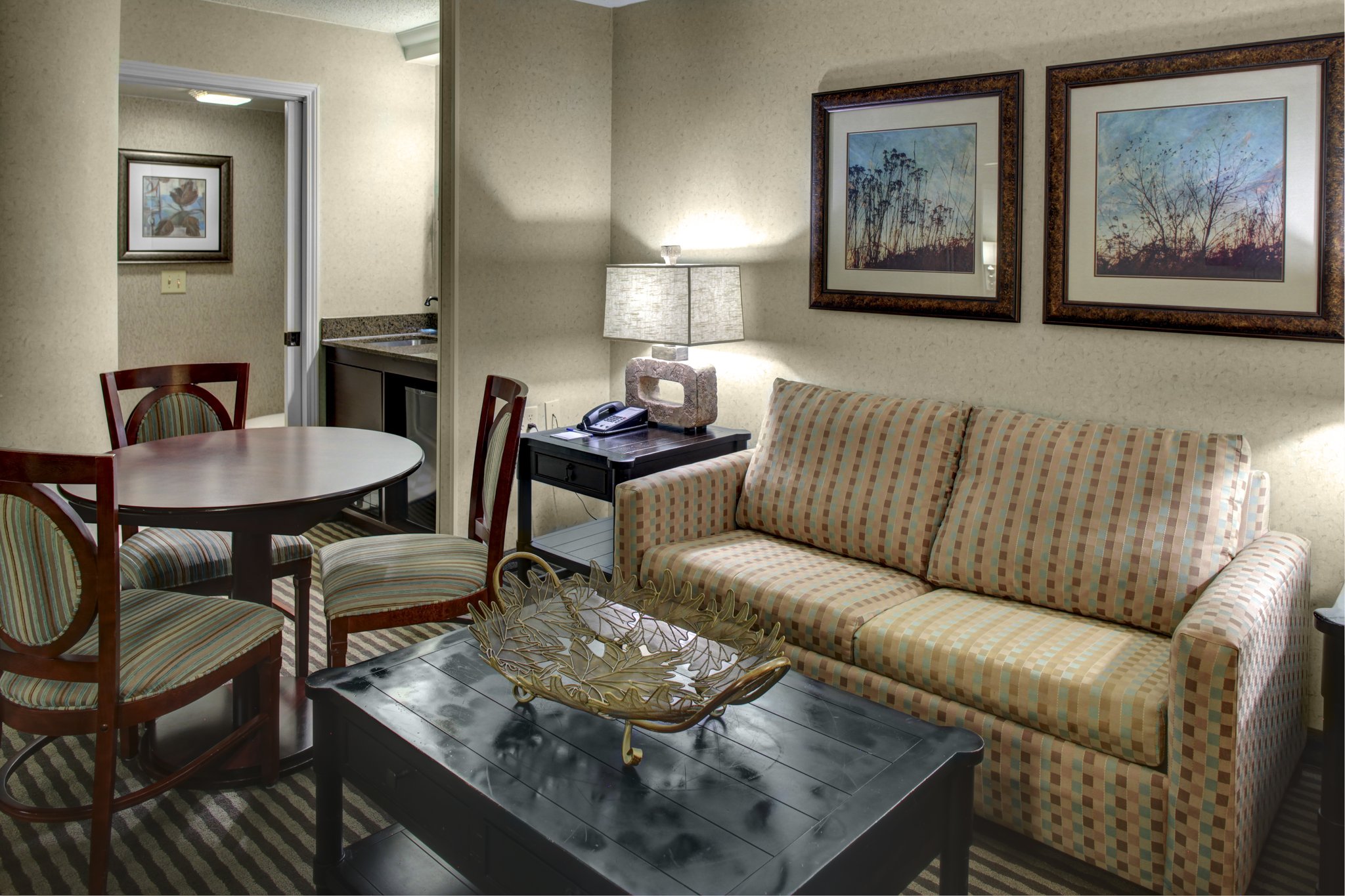 Holiday Inn Express & Suites Atlanta Buckhead by IHG Image