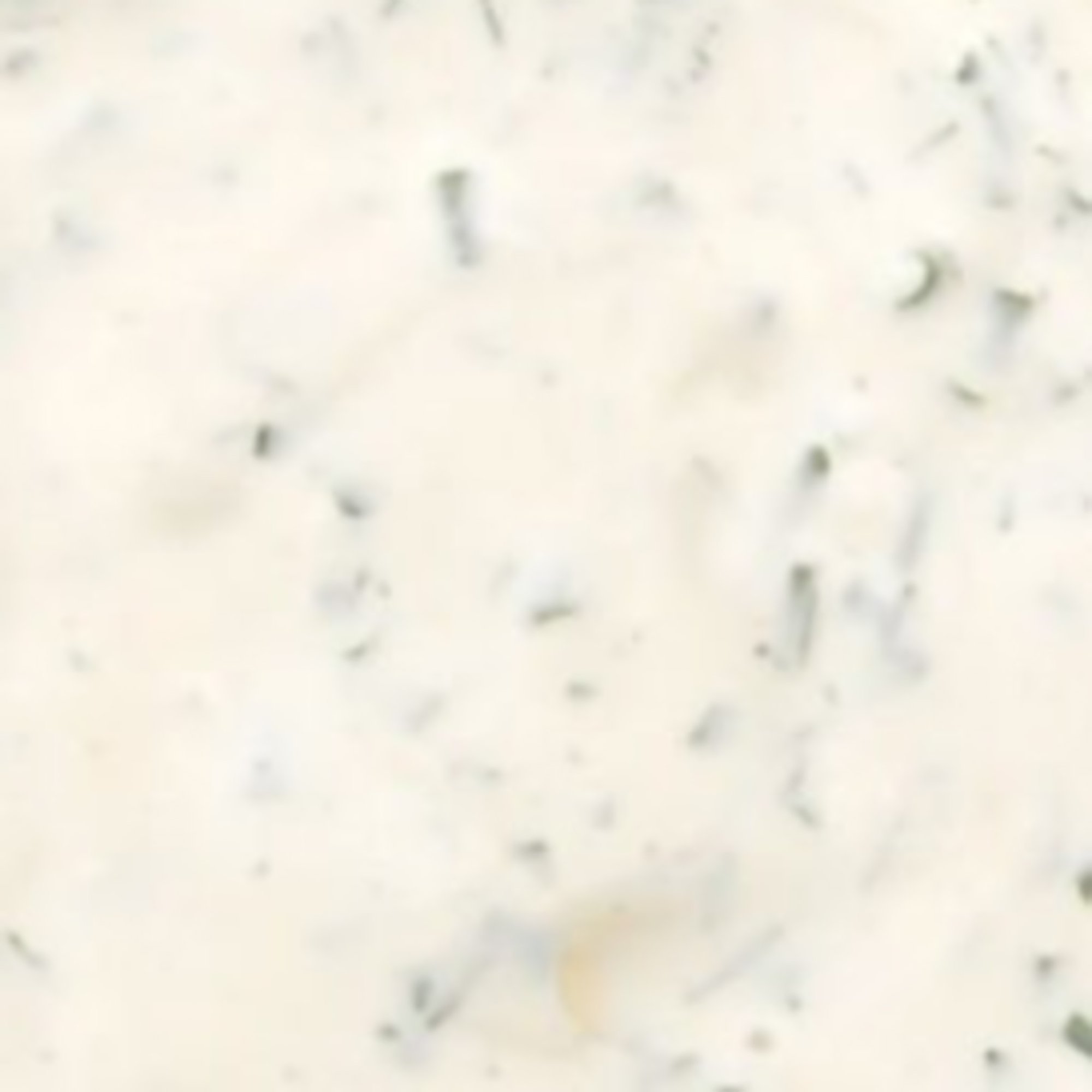Ranch Sauce Cup