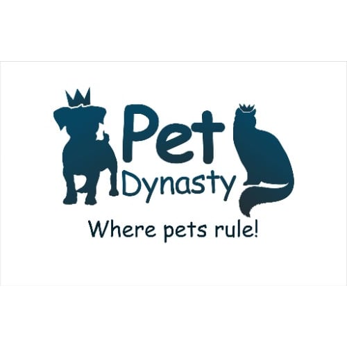 Pet Dynasty: Boarding  Daycare  Grooming & Training Academy