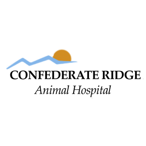CONFEDERATE RIDGE Animal Hospital Photo