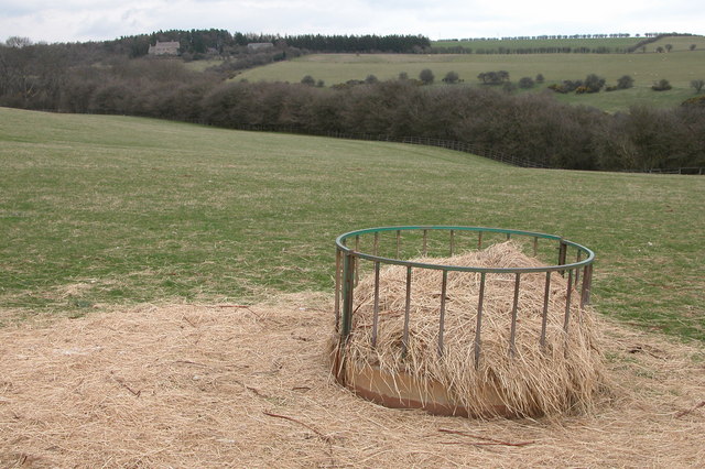 Hay Feeder