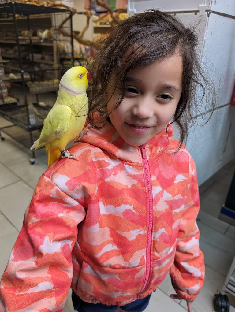Exotic Bird Shop Image