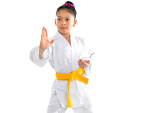 USA Karate Photo