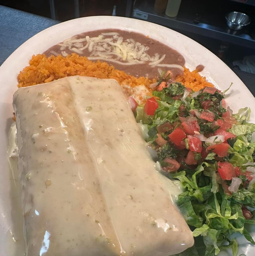 Birria Chimichanga