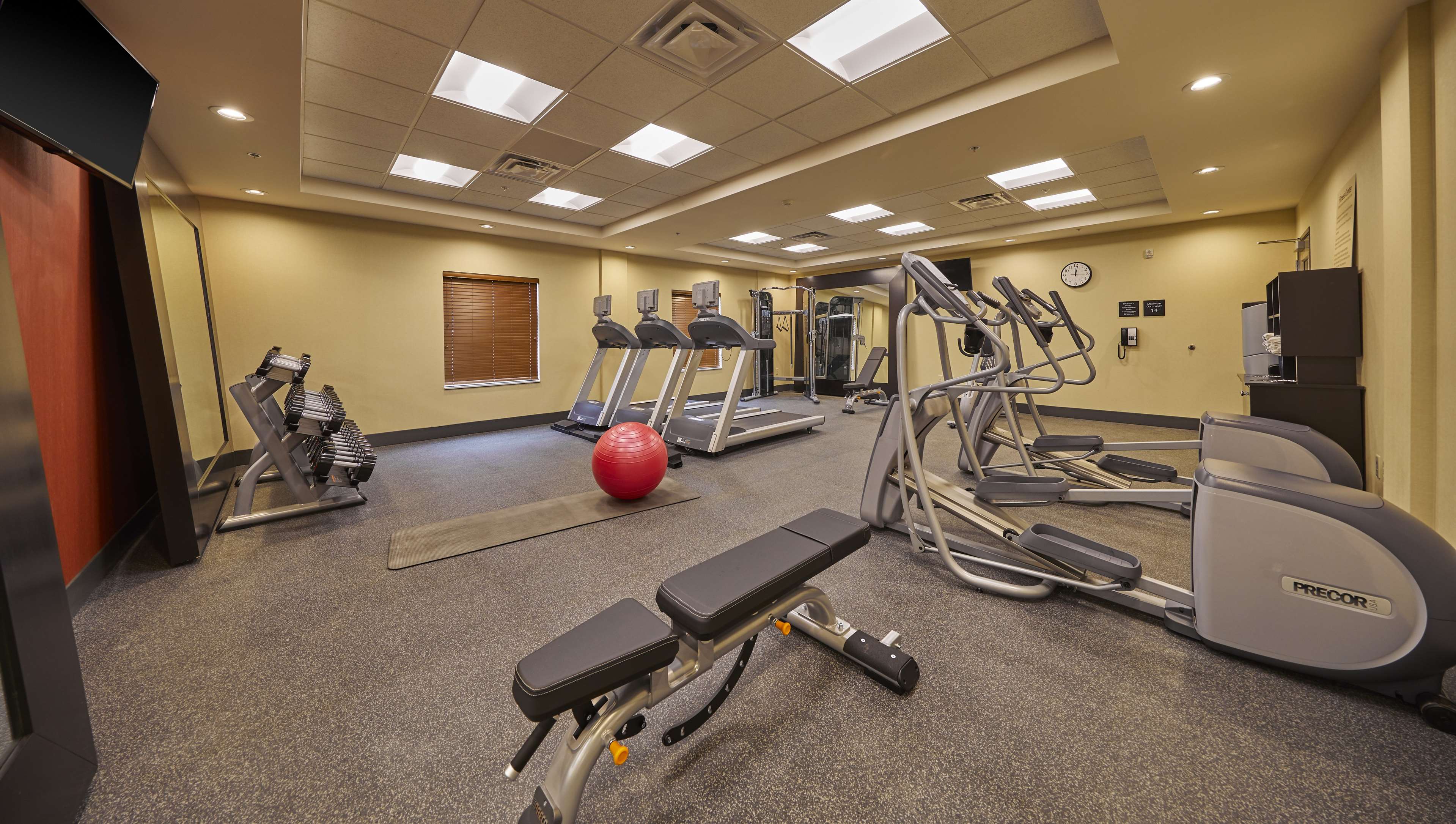 Health club  fitness center  gym