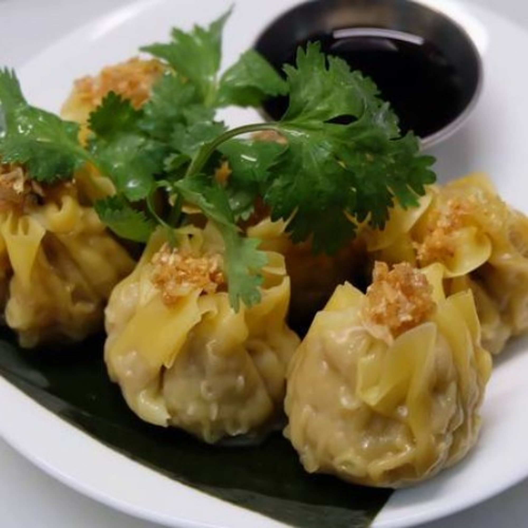 Thai Dumpling (5)