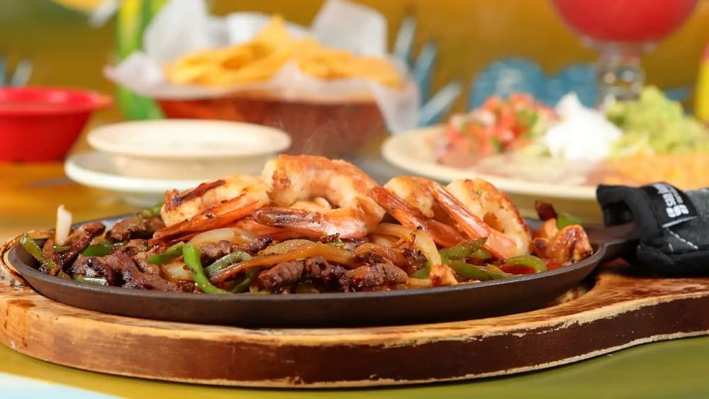 Patrón Fajita