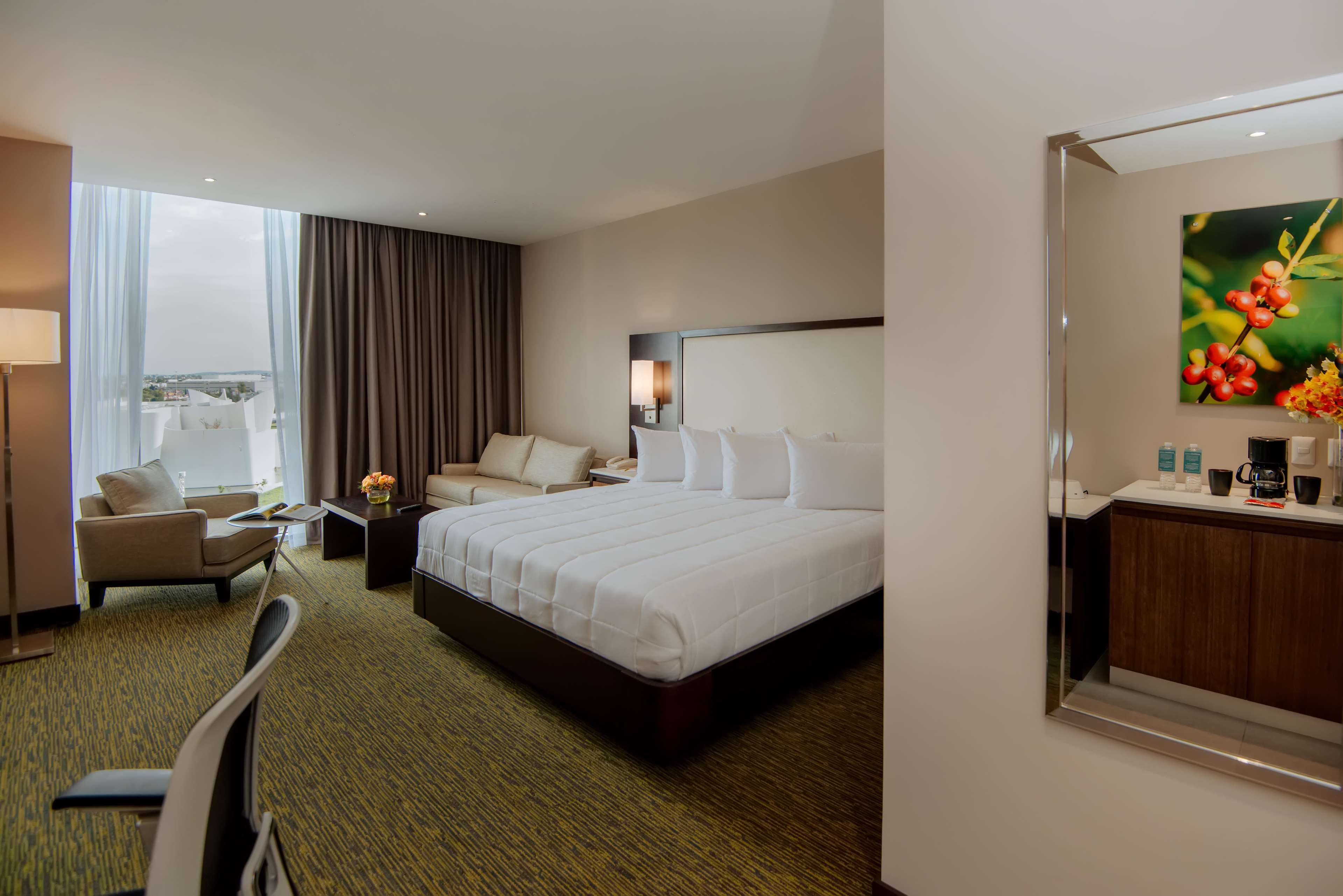 Images Hilton Garden Inn Puebla Angelópolis