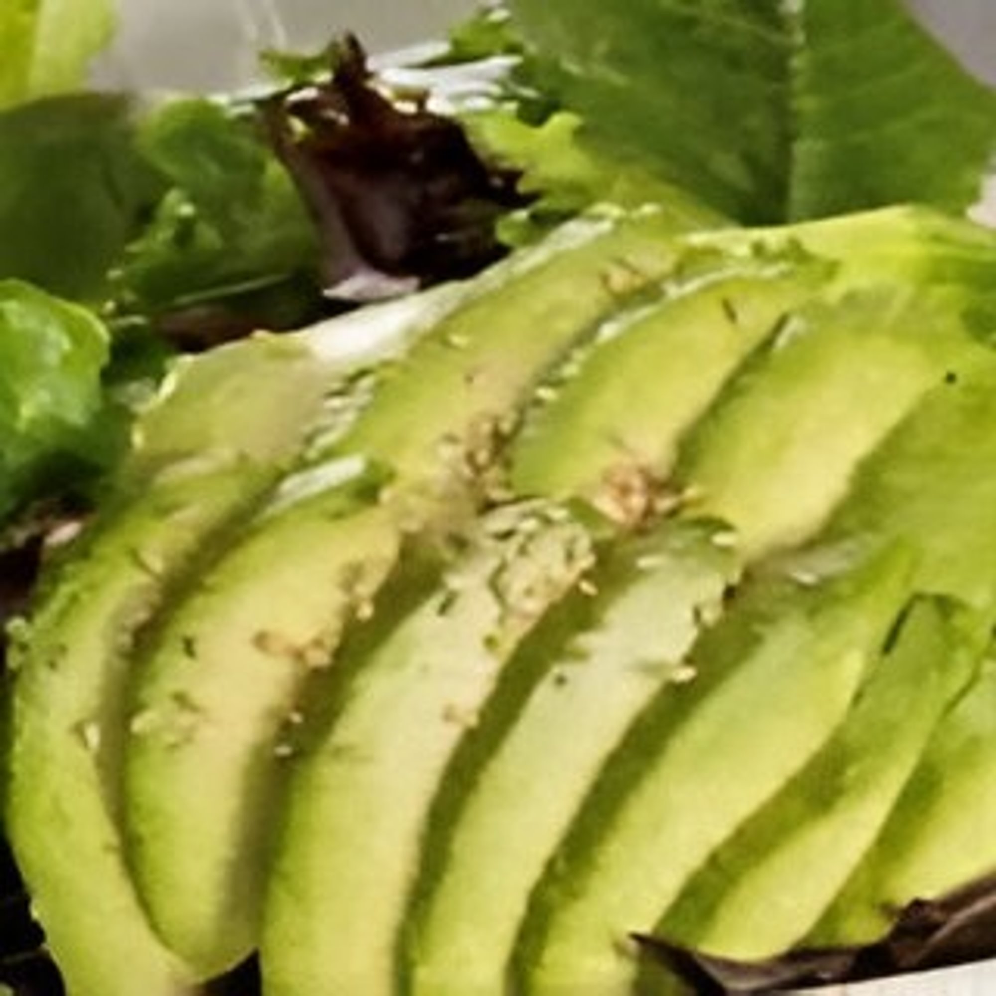 Avocado Salad