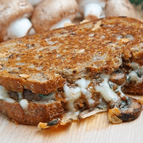 Cheeshroom Sandwich