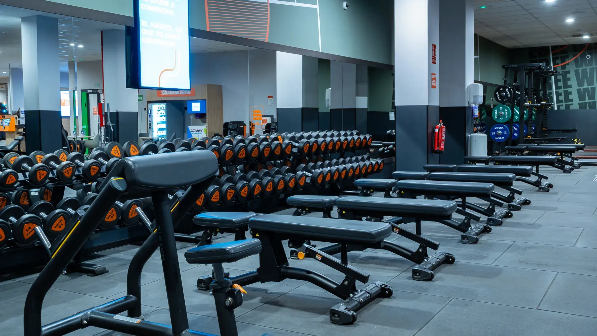 Galería en miniatura