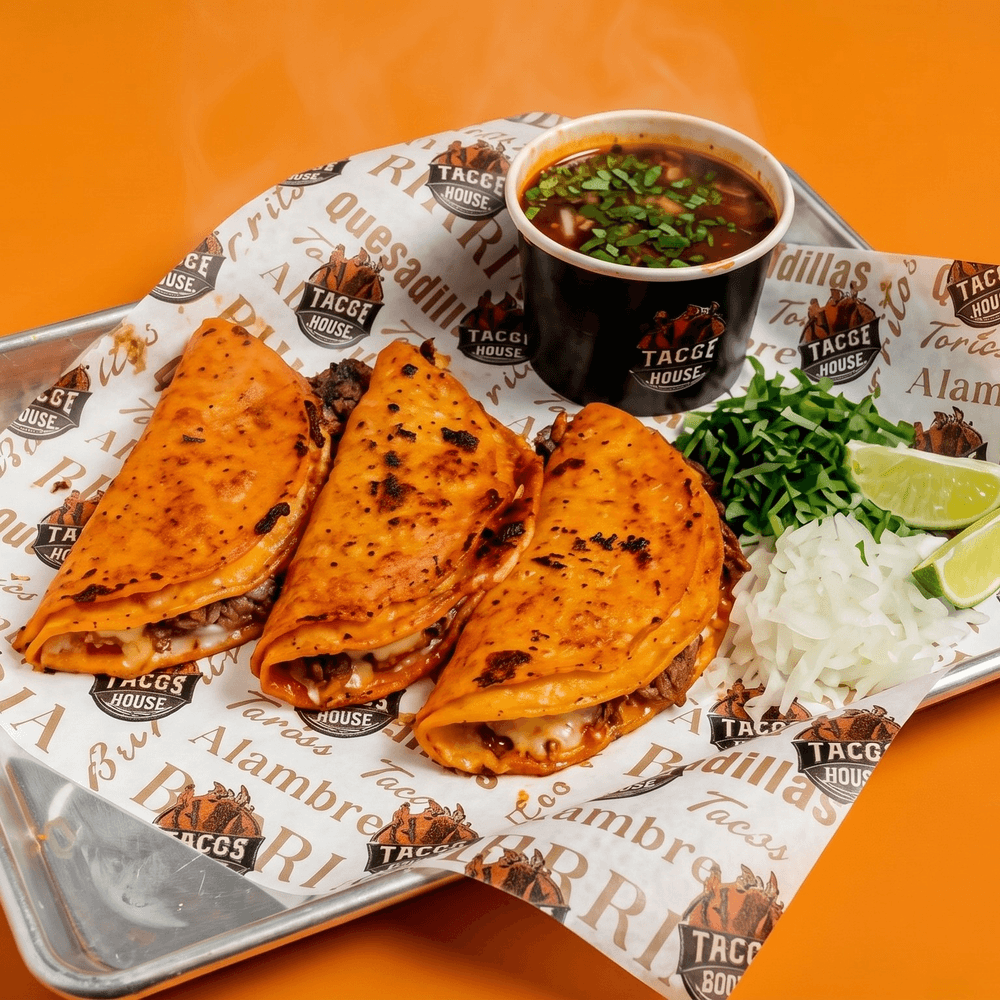 Birria Plate