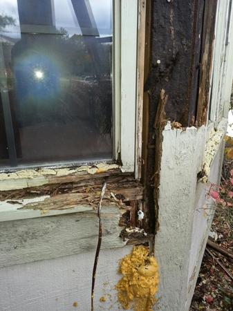 Images Aruba Home Repair and Improvement