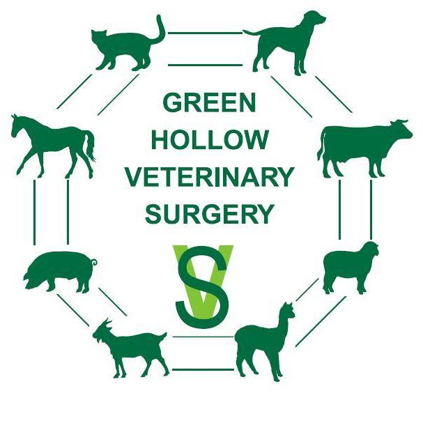 Green Hollow Veterinary Surgery logo