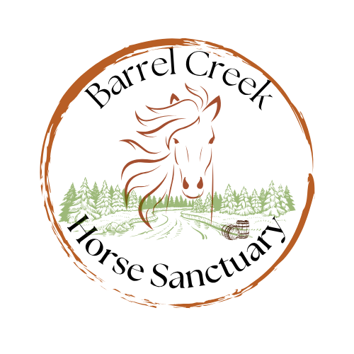Barrel Creek Horse Sanctuary