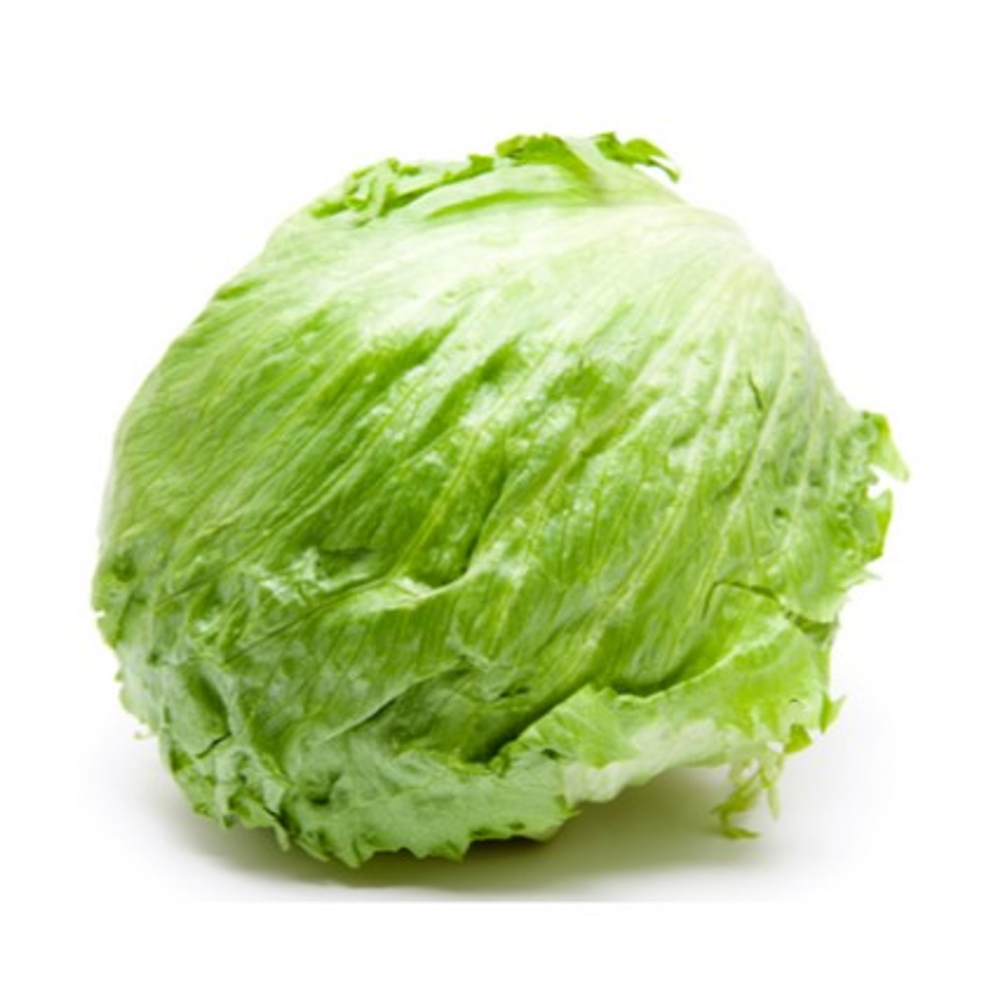 Lettuce